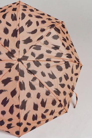 Umbrella