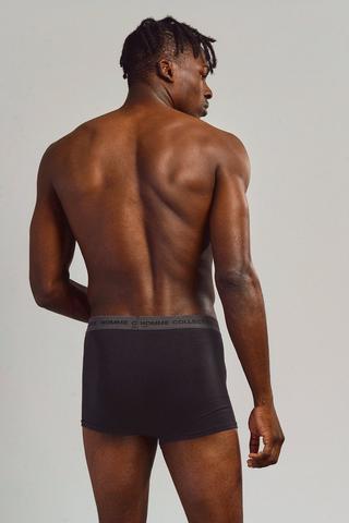 2 Pack Trunks