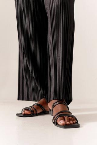 Wide Leg Pants
