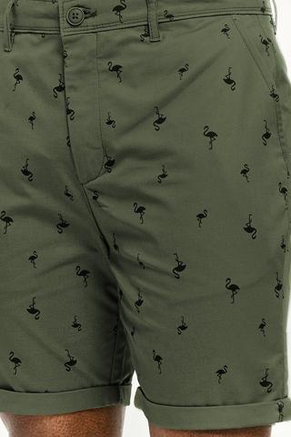Chino Shorts