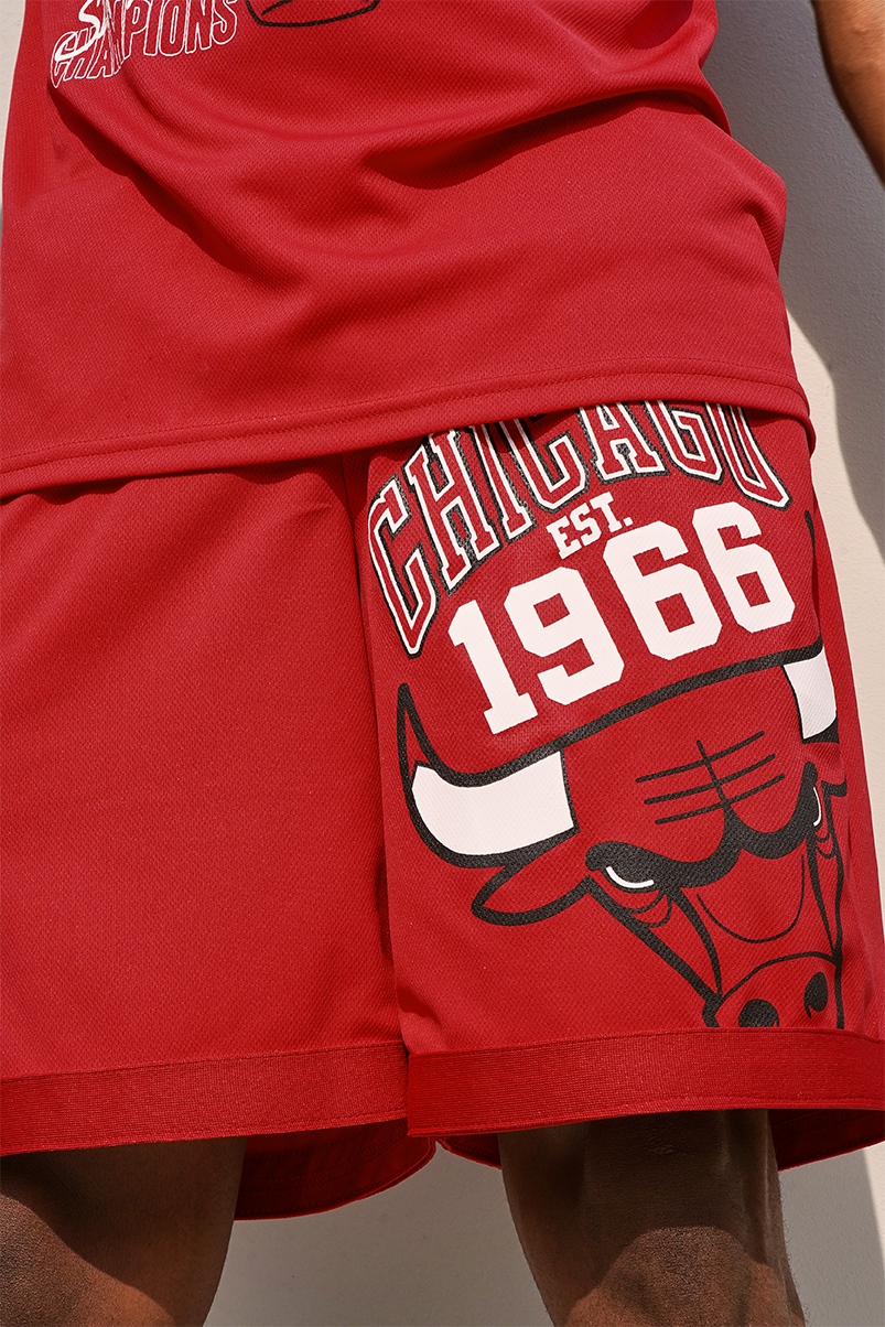 Chicago Bulls Shorts