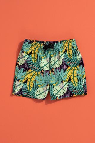 Swim Shorts