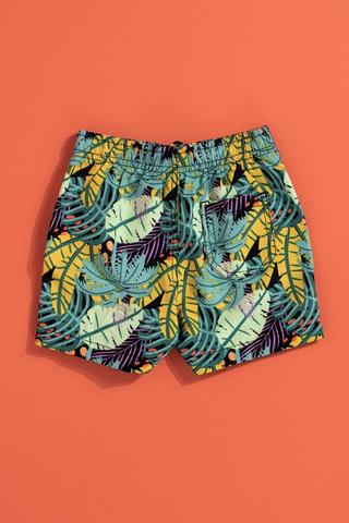 Swim Shorts