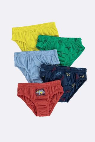 5 Pack Briefs