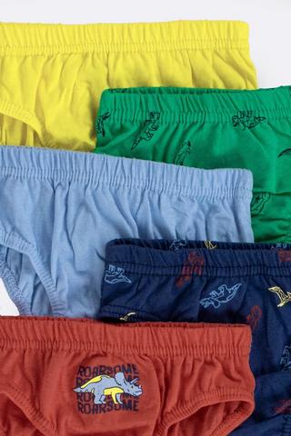 5 Pack Briefs