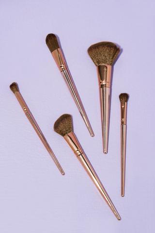 5 Pack Face Makeup Brushes