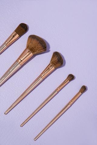 5 Pack Face Makeup Brushes