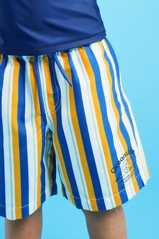 Stripe Swim Shorts