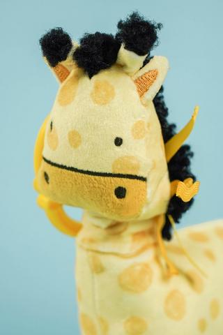 Giraffe Sensory Toy