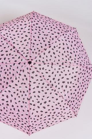 Umbrella