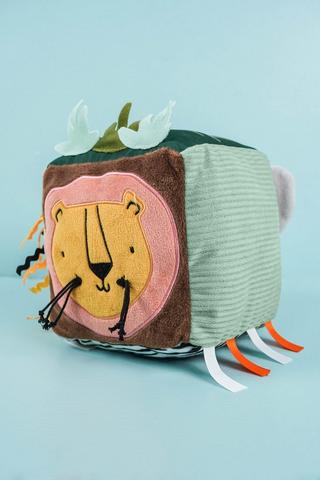 Interactive Safari Cube