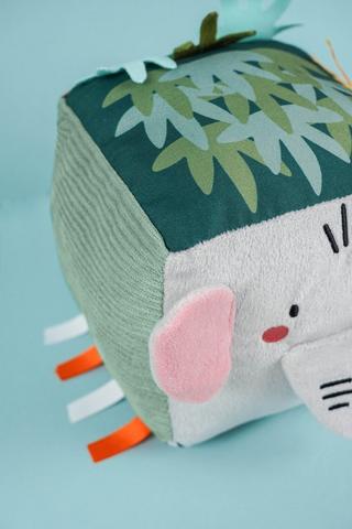 Interactive Safari Cube