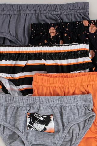 5 Pack Briefs
