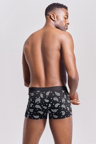 2 Pack Trunks