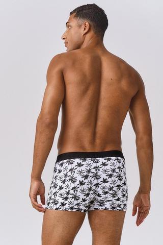 2 Pack Trunks