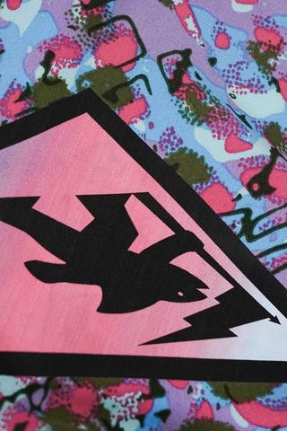 Swim Shorts x Gotcha