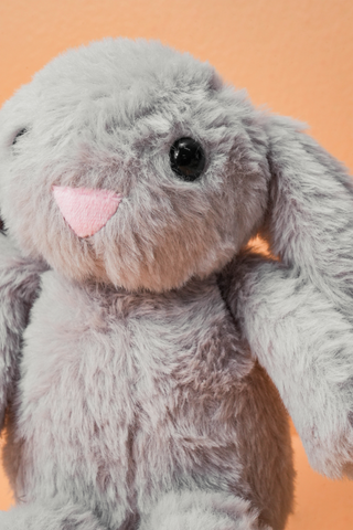Bunny Soft Toy