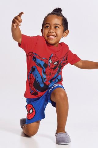 Spiderman Sleep Set