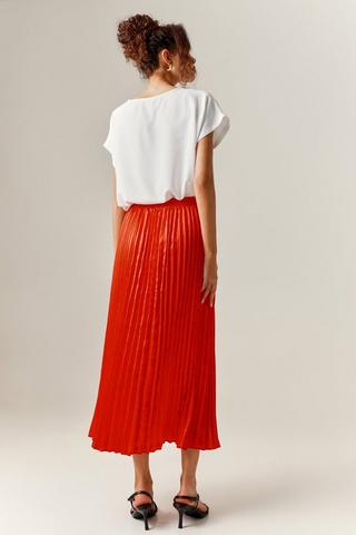 Pleated Skirt