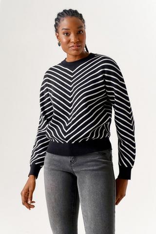 Stripe Crew Neck Knit