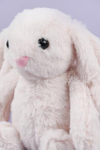 Bunny Soft Toy