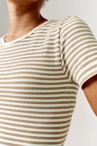 Stripe Seamless Fitted Top