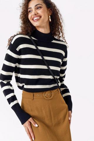 Stripe Turtle Neck Knit