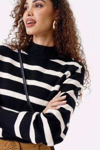 Stripe Turtle Neck Knit