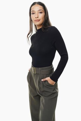 Fitted Turtle Neck Top