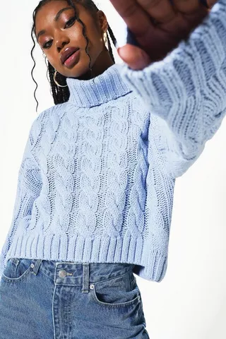 Cable Turtle Neck Knit