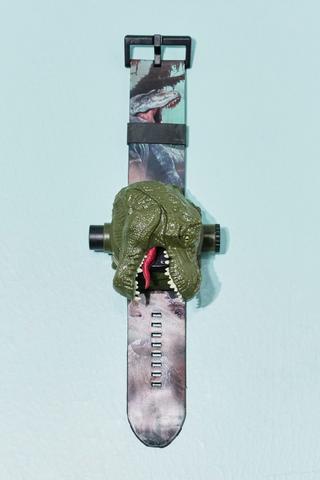 Dino Reflector Watch