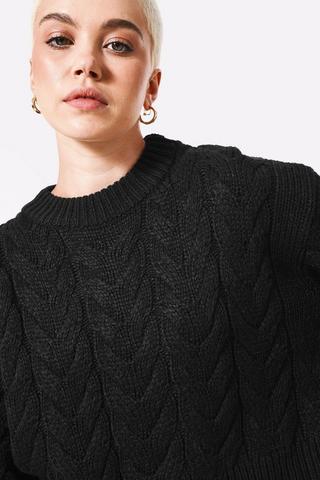 Cable Crew Neck Knit