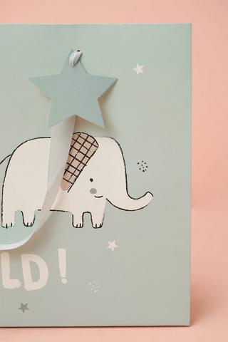 Medium Gift Bag