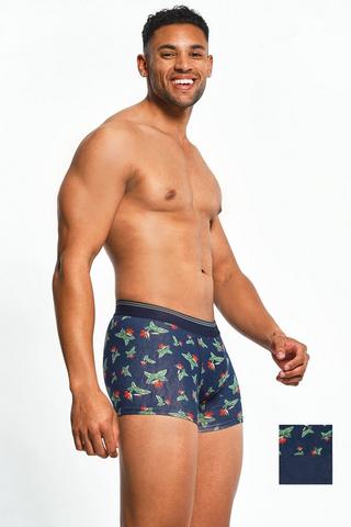 2 Pack Trunks