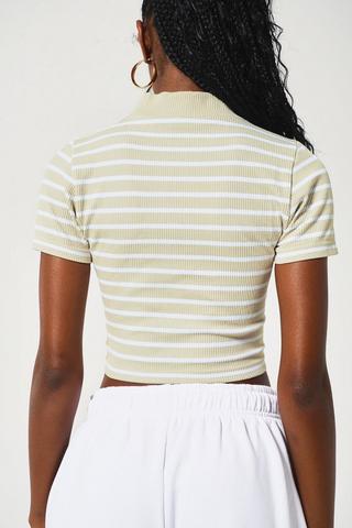 Stripe Seamless Turtle Neck Top