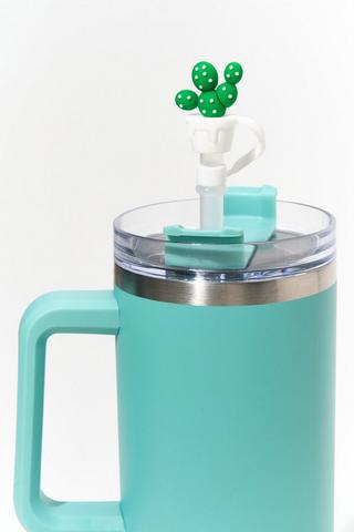 6 Pack Straw Topper