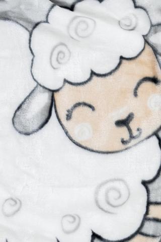 Mink Blanket