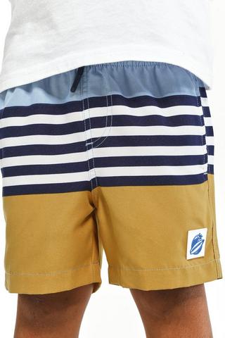 Colourblock Swim Shorts