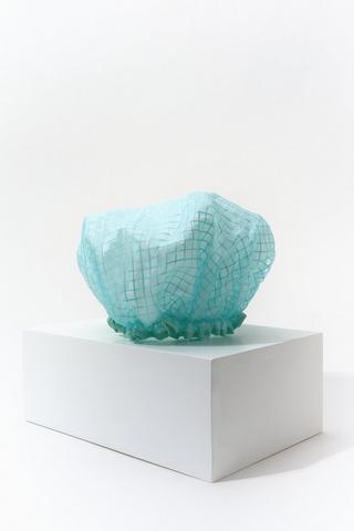 Shower Cap