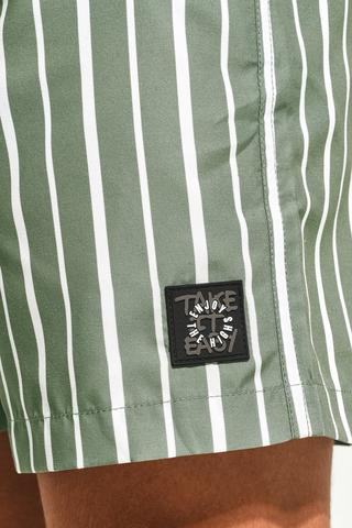 Striped Stand Collar Shirt & Swim Shorts