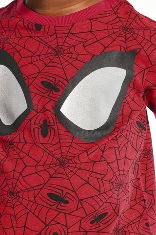 Spiderman Sleep Set