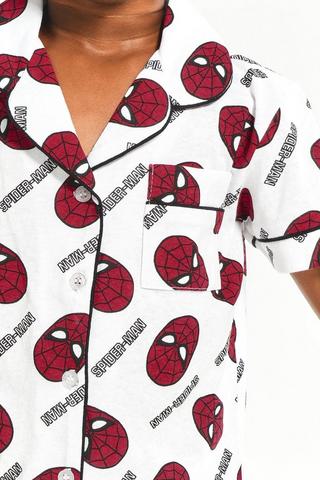 Spiderman Sleep Set
