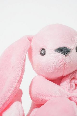 Plush Bunny And Comforter