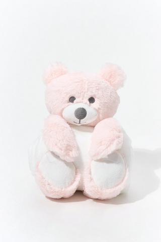 Teddy Bear And Blanket Set