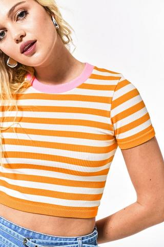 Seamless Stripe Fitted Top