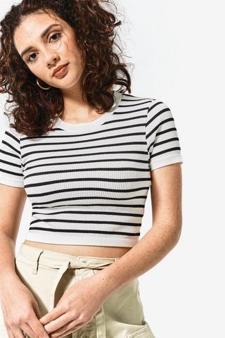 Seamless Stripe Fitted Top