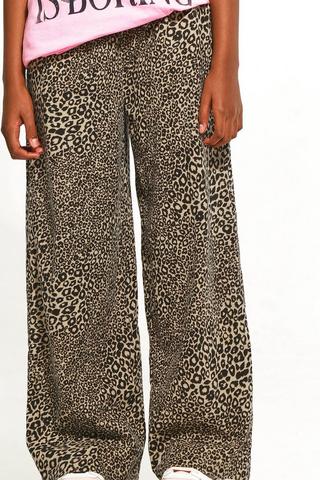 Animal Print Wide-Leg Pants