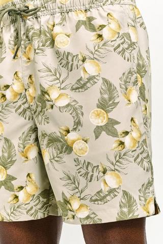Swim Shorts