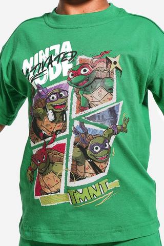 Teenage Mutant Ninja Turtles