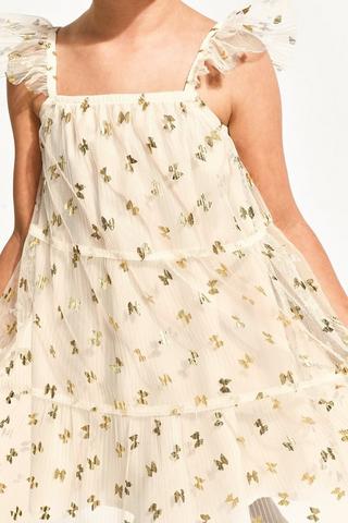Butterfly Mesh Dress